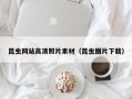 平阳昆虫网站高清照片素材（昆虫图片下载）
